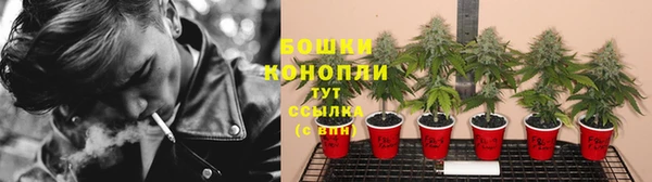 кокс Козловка