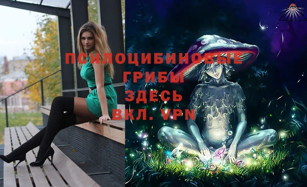 кокс Козловка
