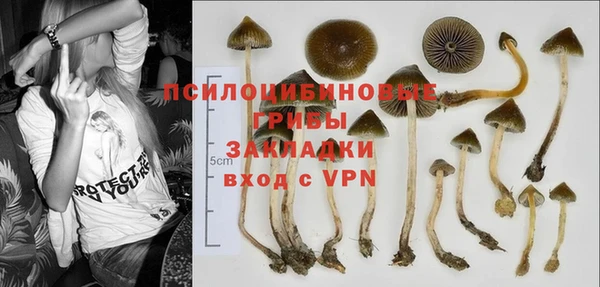 не бодяженный Каменногорск