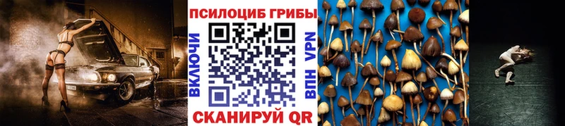 hydra рабочий сайт  Кудрово  Галлюциногенные грибы GOLDEN TEACHER 