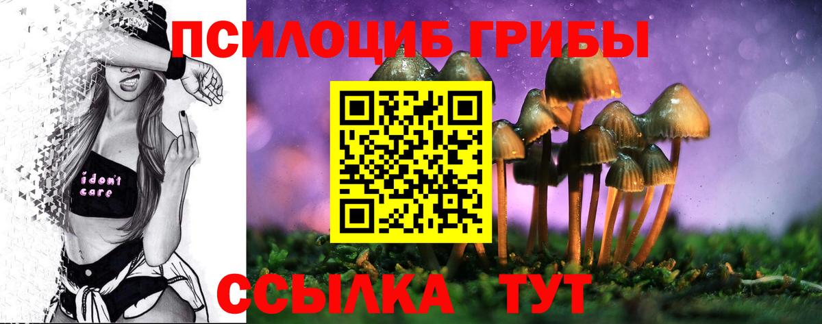 Кудрово  Галлюциногенные грибы Psilocybe  Вход с VPN 
