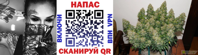 Каннабис THC 21%  KRAKEN маркетплейс  Кудрово  наркота 